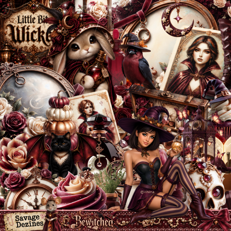 (image for) Bewitched ViNina Kit Match